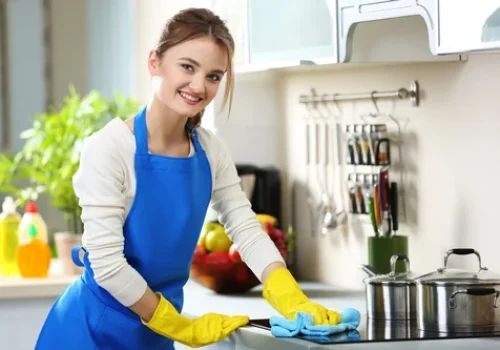 Maid Service Maid Service